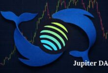 قوة تصويت الحيتان تقود مبادرة الانبعاثات الصفرية لحصولها على موافقة 81% في منظمة جوبيتر اللامركزية