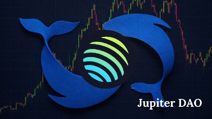 قوة تصويت الحيتان تقود مبادرة الانبعاثات الصفرية لحصولها على موافقة 81% في منظمة جوبيتر اللامركزية