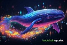 نشاط الحيتان يدفع سعر رايف داو (RAVE) للصعود وسط هشاشة السوق