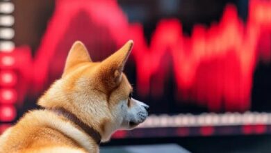 سعر شيبا إينو تحت الضغط مع استمرار الهيمنة الهابطة للسوق
