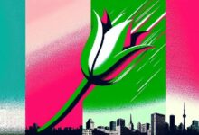 "توليب الطائر" لأندريه كرونيه تستعد للطرح العام