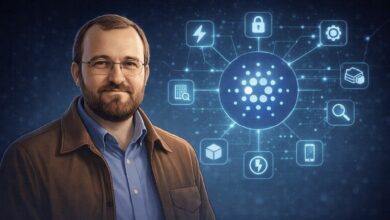 مؤسس كاردانو يكشف عن تحديث لوغان: شرح 8 تكاملات جديدة قوية