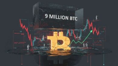 بيانات تكشف: نحو 9 ملايين بيتكوين محتفظ بها حالياً بخسارة