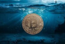 "بيتوايز" مدير أصول بقيمة 5 مليارات دولار يشير إلى اقتراب البيتكوين والألتكوين من القاع