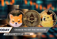 مراجعة سوق العملات الرقمية: شيبا إينو (SHIB) تخرج من الجحيم، اللحظة التي انتظرها مستثمرو إيثريوم (ETH)، ودوجكوين (DOGE) يقترب من الصفر