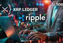 أداة تطوير جديدة لـ XRPL تواجه انتقادات بسبب توافق ميزات الشبكة الرئيسية