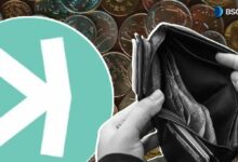 ما هو محفظة كاسبا المناسبة لك؟ دليل شامل لأنواعها واستخداماتها