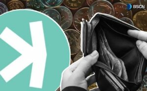 ما هو محفظة كاسبا المناسبة لك؟ دليل شامل لأنواعها واستخداماتها