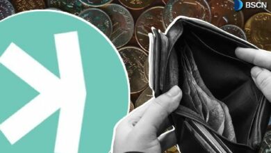 ما هو محفظة كاسبا المناسبة لك؟ دليل شامل لأنواعها واستخداماتها