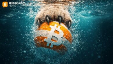 انخفاض البيتكوين إلى 72,863 دولار بعد موجة بيع قوية تعترض انتعاشه القصير