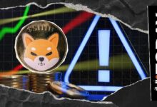تنبيه SHIB: فريق شيبا إينو يحذر مستخدمي المحافظ من خطر أمني محتمل