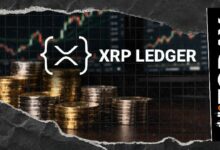 مهندس في ريبل يتحدث عن الوظائف الرئيسية لدفتر الأستاذ XRP للاستخدام المؤسسي