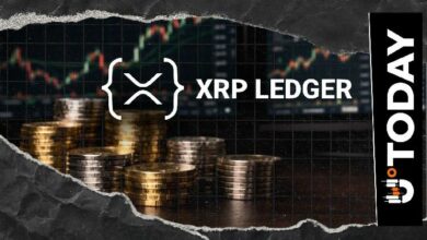 مهندس في ريبل يتحدث عن الوظائف الرئيسية لدفتر الأستاذ XRP للاستخدام المؤسسي