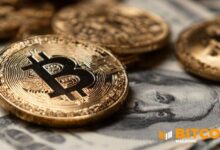 سندات مدعومة بالبيتكوين تواجه اختبار ضغط بعد هبوط السوق، وفقًا لـ S&P