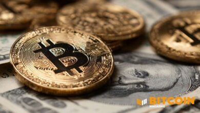 سندات مدعومة بالبيتكوين تواجه اختبار ضغط بعد هبوط السوق، وفقًا لـ S&P