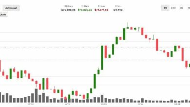 البيتكوين يهوي قرب 74,000 دولار في تداولات متقلبة تثير قلق المتعاملين