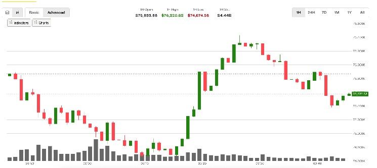البيتكوين يهوي قرب 74,000 دولار في تداولات متقلبة تثير قلق المتعاملين