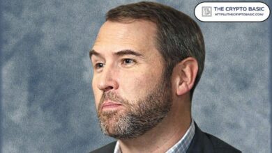 غير صحيح: رئيس ريبل يفضح ادعاءات عدم قدرة الكيانات على الفوز ضد الحكومة الأمريكية