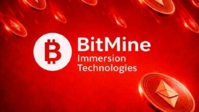 بيتماين تشتري 40,613 إيثريوم خلال الانهيار وتدافع عن استراتيجية التراكم رغم خسائر ورقية بقيمة 7.3 مليار دولار