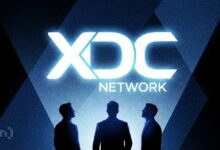 لماذا تتصدر البرازيل وشبكة XDC سباق الأصول الواقعية (RWA)؟