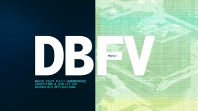 فينيكس تحطم حاجز خصوصية البلوكشين بابتكار تشفير BFV المتحلل