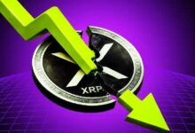 تنبيه لحيتان الريبل: تدفق 31 مليون XRP إلى بينانس، هل تشير إلى بدء بيع جماعي؟