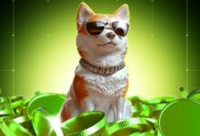 هل يبحث حاملو دوجكوين عن شراء المزيد بعد هبوط ١٦٪؟