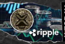 "الأساس قد وُضع": تنفيذي في ربل يُشير إلى وصول الموجة التالية لـ XRP