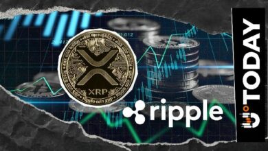 "الأساس قد وُضع": تنفيذي في ربل يُشير إلى وصول الموجة التالية لـ XRP