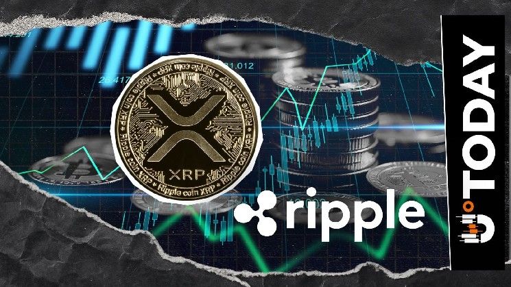 "الأساس قد وُضع": تنفيذي في ربل يُشير إلى وصول الموجة التالية لـ XRP