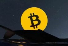 حيتان البيتكوين تتخلص من كميات ضخمة: هل ينجو السوق من الانهيار؟