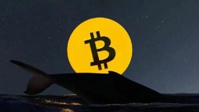 حيتان البيتكوين تتخلص من كميات ضخمة: هل ينجو السوق من الانهيار؟