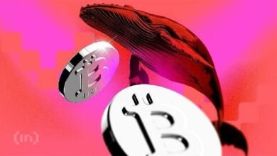 انقسامات السوق العميقة تظهر مع تراجع البيتكوين: فرصة استثمارية أم نقطة ضعف هيكلية؟