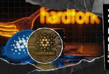 كاردانو ترحب بإطلاق عقد ذكي جديد استعداداً للهارد فورك داخل العصر