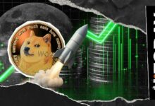 "فريق دوجكوين يتفاعل مع إشارة 'DOGE إلى القمر' بـ 'مثل هذا الصاروخ'"