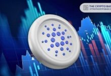 الحيتان وأسماك القرش الكبرى في كاردانو تضيف 819.4 مليون عملة ADA خلال 6 أشهر رغم انهيار السعر