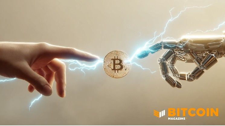 انخفاض البيتكوين 50%: هل هو رعب الكم أم دوران رأس المال؟