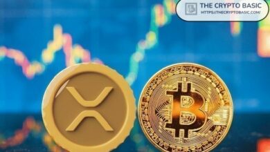 استعد لما ستفعله XRP في المرحلة الثانية مع هبوط هيمنة البيتكوين إلى مستويات غير مسبوقة: محلل