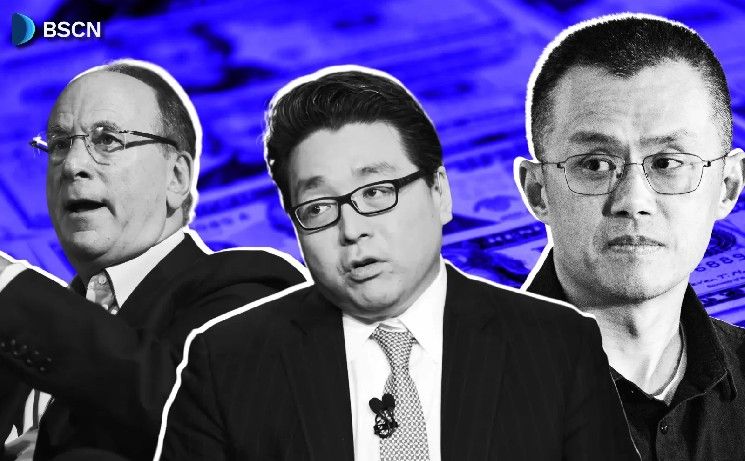 الكشف عن أكبر حاملي عملة الإيثيريوم (ETH)