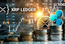 ميزة جديدة في XRPL قد توسع من فائدة RLUSD، كما يوضح أحد مدققي سجل XRP