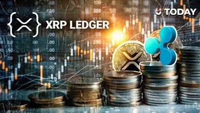 ميزة جديدة في XRPL قد توسع من فائدة RLUSD، كما يوضح أحد مدققي سجل XRP