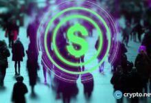 خفض سعر مستهدف لسهم Circle بعد وصف البنك له بـ"سويسرا العملات المستقرة"