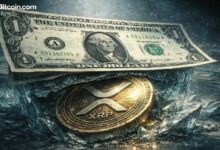 محلل يحذر: انهيار XRP دون دولار قد يدفع السعر إلى 0.85 دولار