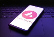 أفالانش تستضيف عملة مستقرة مدعومة بأصول حقيقية وتدر عائدًا لشركة فوسون ويلث