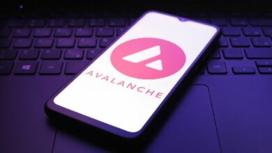 أفالانش تستضيف عملة مستقرة مدعومة بأصول حقيقية وتدر عائدًا لشركة فوسون ويلث
