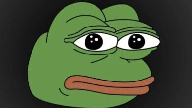 توقعات سعر PEPE: الحيتان تتجمّع مع استمرار الهبوط لستة أسابيع