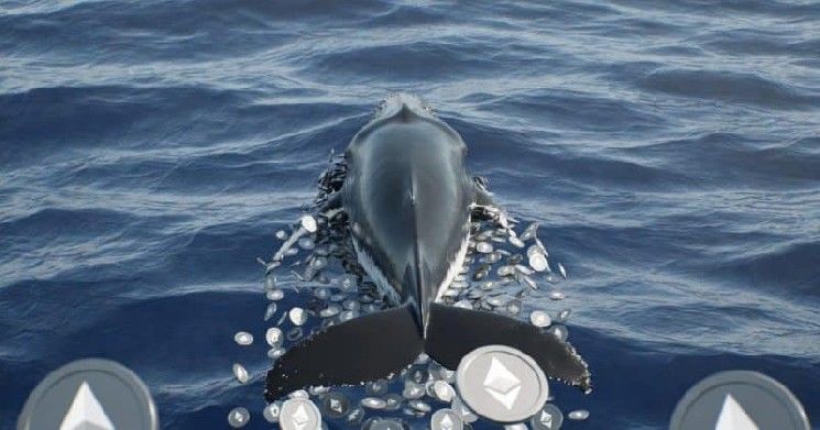 حوت إيثيريوم ينهي صفقاته وسط خسائر تتجاوز 747 مليون دولار