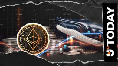 مجموعة 'الحيتان السبعة' تشتري الإيثيريوم (ETH): هل 2400 دولار هو القاع السعري؟