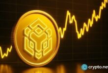 سعر BNB يهبط تحت مستوى الجيب الذهبي 620 دولار ويختبر الدعم طويل الأجل قرب 609 دولار