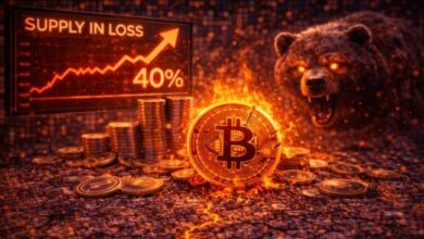 إشارة سوق هابطة للبيتكوين تظهر: الإمداد في حالة خسارة يتجاوز 40%